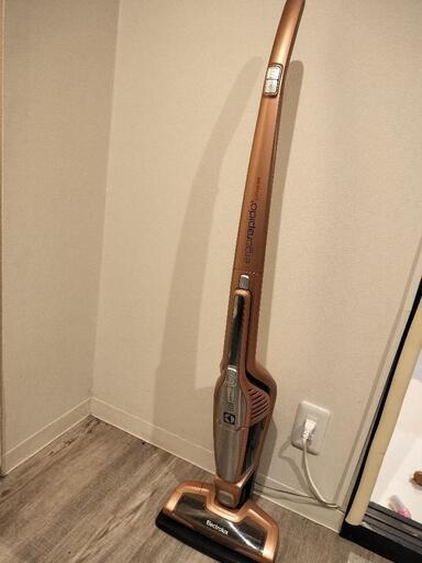 エレクトロラックス　掃除機　充電式　コードレス　サイクロン electrolux
