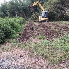 🍓 枝落とし伐採🪵　どんな場所、あらゆる🌲樹木⚠️引き受けます。　　　　　　　　 - 便利屋