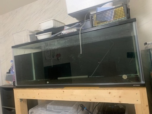決まりました！コトブキ120cm水槽