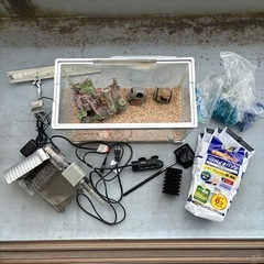 Tetra 40cm水槽一式