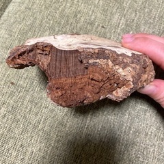 さるのこしかけの画像