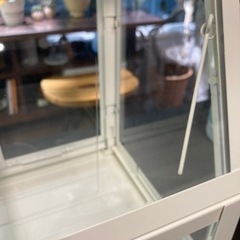 イケア IKEA 植物 温室 ÅKERBÄR オーケルベールの画像
