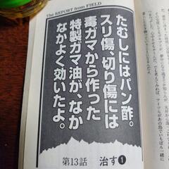横井庄一のサバイバル極意書の画像