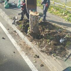 造園スタッフ【通年、正社員】の画像