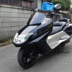 (売約済)YAMAHA　MAXAM250 人気のSG21Jツート...