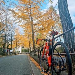 ロードバイク仲間募集ヽ(´▽｀)/
