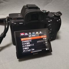 SONY α7RM3 (ILCE-7RM3) ボディ ショット数 3600台 センサー専門店でクリーニング済みの画像