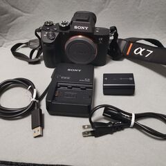 SONY α7RM3 (ILCE-7RM3) ボディ ショット数 3600台 センサー専門店でクリーニング済みの画像