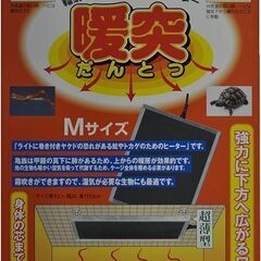 爬虫類ケージセットの画像
