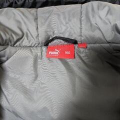 プーマベンチコートの画像