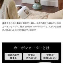 BRUNO カーボンヒーターの画像