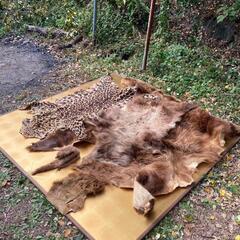 尻当て素材の画像