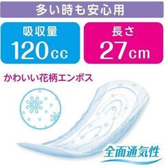 【新品】ポイズ 肌ケアパッド 多い時も安心用 レギュラー（120cc）20枚入り×６パック【女性用尿とりパッド】の画像