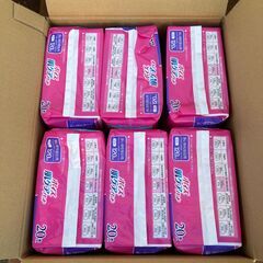 【新品】ポイズ 肌ケアパッド 多い時も安心用 レギュラー（120cc）20枚入り×６パック【女性用尿とりパッド】の画像