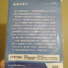 例のマスクの画像