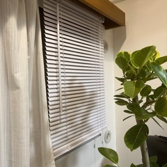 イージーブラインド