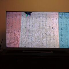 【最終価格】レグザ 55インチ  タイムシフト搭載 4K 20年製 3チューナーW録の画像