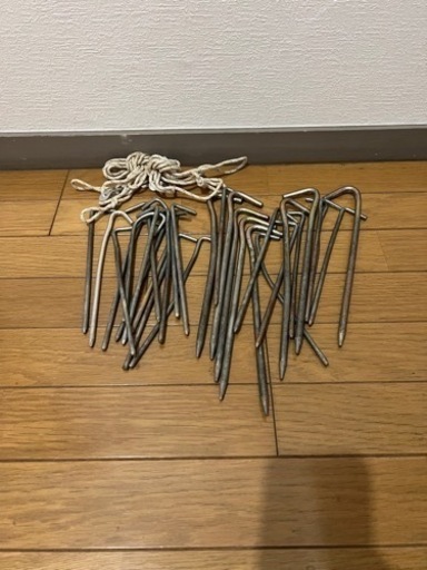 早い方優先！コールマン テント・タープ