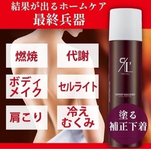 リアムールエキスパートマックスボディス