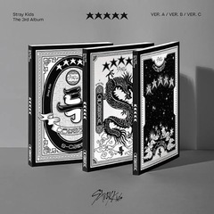 straykids 輸入盤 アルバム MAXIDENT 5-starの画像