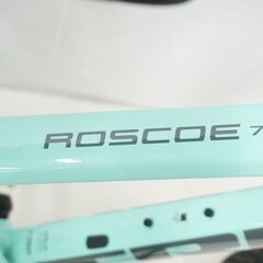 TREK 「トレック」 ROSCOE7 2021年モデル マウンテンバイクの画像