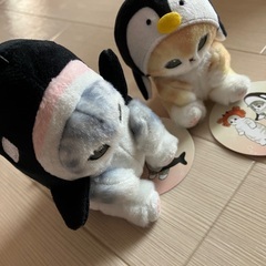 2個セット　モフサンド　ねこ　着ぐるみ　シャチ　ペンギン
