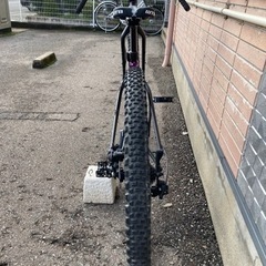 サルサ SALSA ファーゴ FARGO APEX1 2022年 Sサイズ