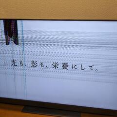 東芝レグザ55型タイムシフトレコーダーとして使用可（ジャンク)