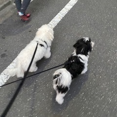 カッコいいアニソンバンドやりたいです！