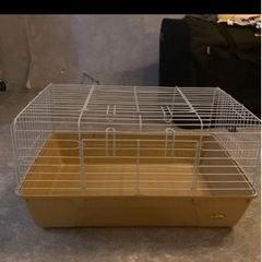 ハリネズミ ゲージ