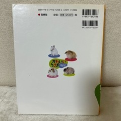 【値引き】かわいいうさぎの本の画像