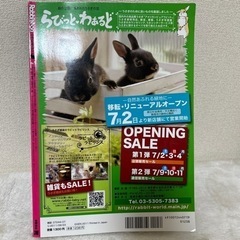 【値引き】うさぎグッズの本の画像