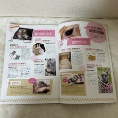 【値引き】うちのうさぎのキモチがわかる本の画像