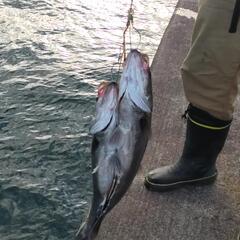 12月1日鹿島港⚓釣り🎣等メンバー募集😁🙆 - その他