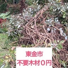 不要木材、薪ストーブ、笹竹、庭木、伐採した木を差し上げます
