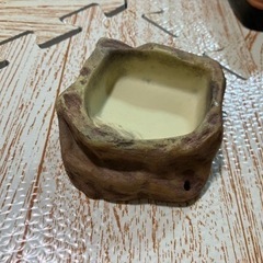 レオパ・ヒョウモントカゲモドキ用シェルター大・小、水飲み