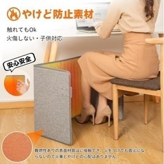 【値下げしました7500→5500円】【寒がりさん必見‼️】パネ...