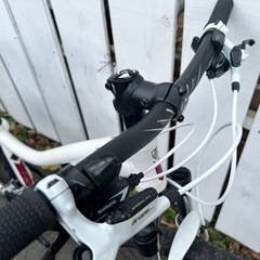 29er TREK MTB CALIの画像