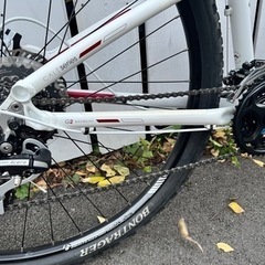 29er TREK MTB CALIの画像