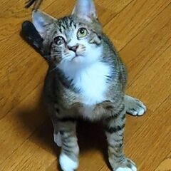 活発な中にも、奥ゆかしさが！