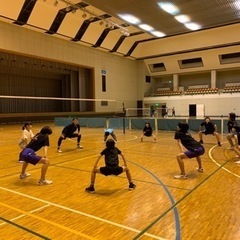 バレーボールスクールの画像
