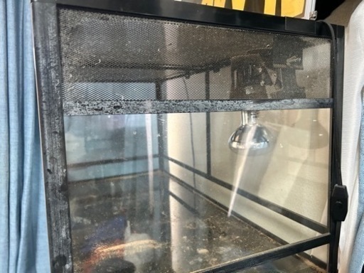 爬虫類飼育セット