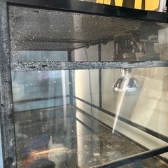爬虫類飼育セットの画像