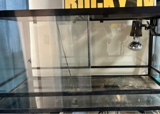 爬虫類飼育セット