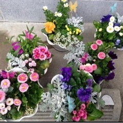 寄せ植え、苔玉作ります🥰 - 手伝いたい/助けたい