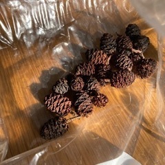 モミジバフウの実の画像