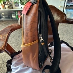 🍄COACH メンズ 限定販売品 斜め掛け ボディーバッグ 最終値下 18000円【引き取りが早い方優先です】の画像