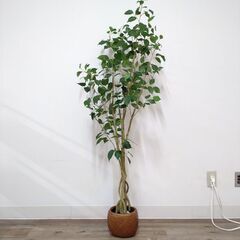 室内インテリアに！フェイクグリーン★本日無料お渡し