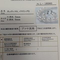 パール　ネックレス　イヤリング　セットの画像