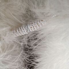 ショール　和装　成人式の画像